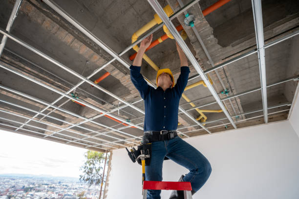 Best Emergency Plumber  in Lynchburg, MS